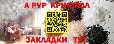spice Гай