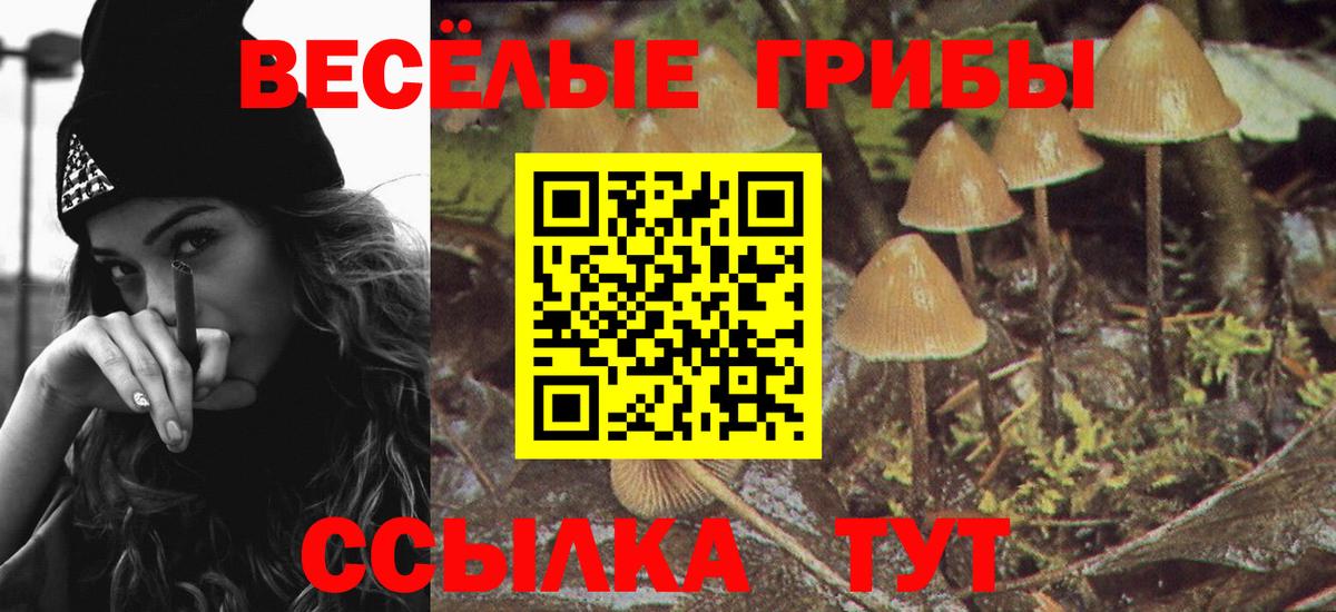 Псилоцибиновые грибы Magic Shrooms  цена   Нефтекумск  Вход с VPN 